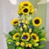 sunflower lovers